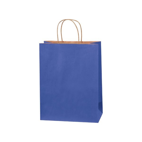 Bsc Preferred 10 x 5 x 13'' Parade Blue Tinted Shopping Bags, 250PK BUY00029639 - main